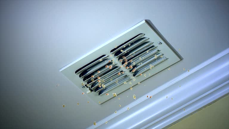 Best Emergency Air Duct Cleaning  in Mount Carmel, PA
